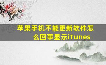 苹果手机不能更新软件怎么回事显示iTunes