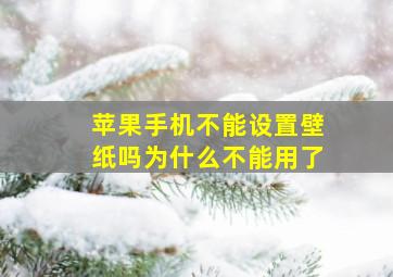 苹果手机不能设置壁纸吗为什么不能用了