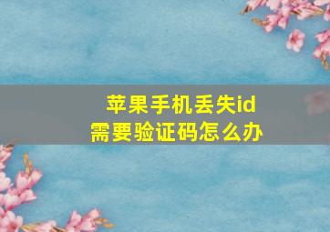 苹果手机丢失id需要验证码怎么办