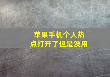 苹果手机个人热点打开了但是没用