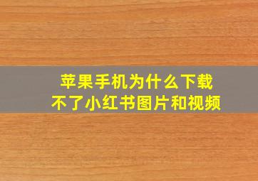 苹果手机为什么下载不了小红书图片和视频