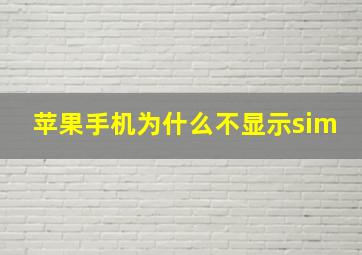 苹果手机为什么不显示sim