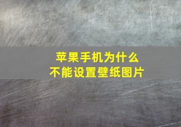 苹果手机为什么不能设置壁纸图片