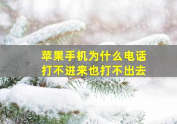 苹果手机为什么电话打不进来也打不出去