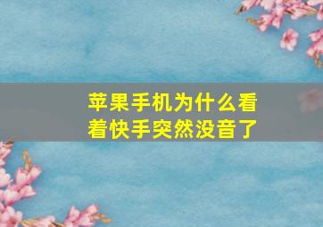 苹果手机为什么看着快手突然没音了