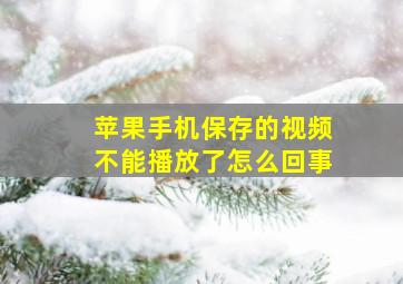 苹果手机保存的视频不能播放了怎么回事