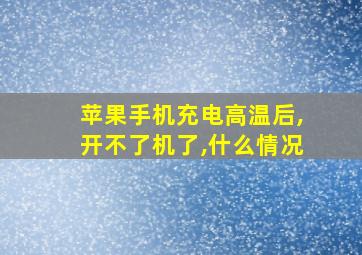 苹果手机充电高温后,开不了机了,什么情况