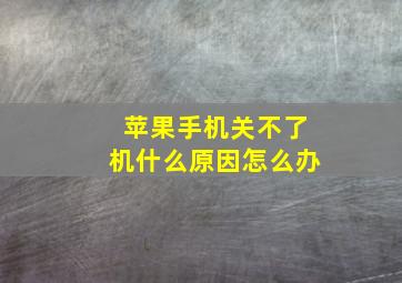 苹果手机关不了机什么原因怎么办