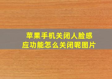 苹果手机关闭人脸感应功能怎么关闭呢图片