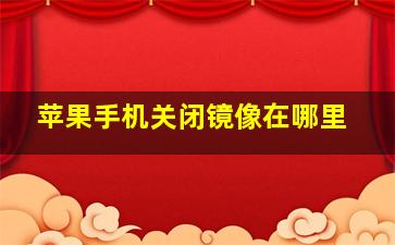 苹果手机关闭镜像在哪里