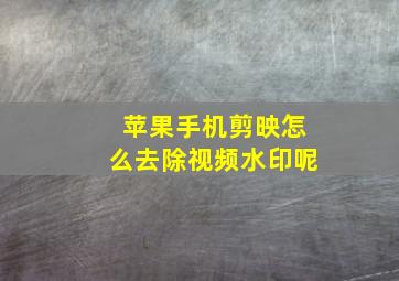 苹果手机剪映怎么去除视频水印呢