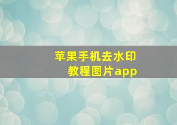 苹果手机去水印教程图片app