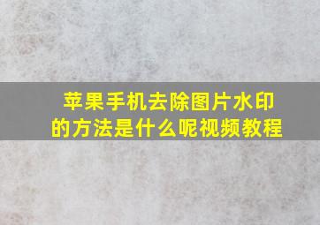 苹果手机去除图片水印的方法是什么呢视频教程