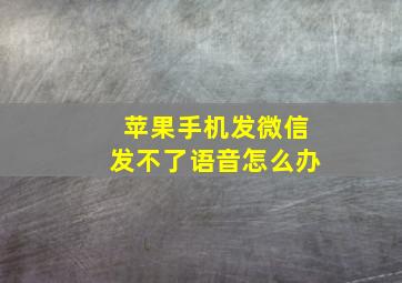 苹果手机发微信发不了语音怎么办