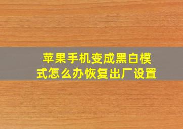 苹果手机变成黑白模式怎么办恢复出厂设置