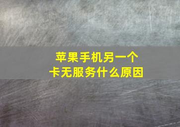 苹果手机另一个卡无服务什么原因