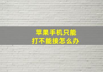 苹果手机只能打不能接怎么办