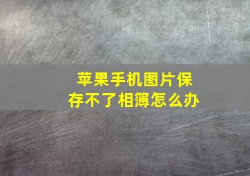 苹果手机图片保存不了相簿怎么办