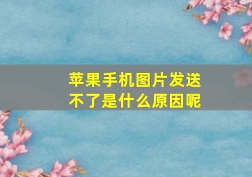 苹果手机图片发送不了是什么原因呢