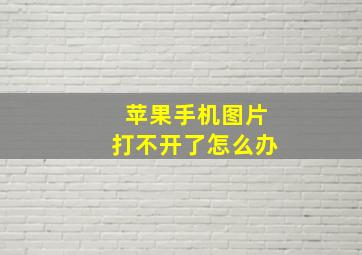 苹果手机图片打不开了怎么办