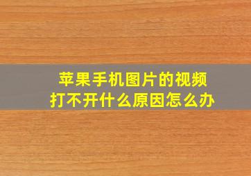 苹果手机图片的视频打不开什么原因怎么办