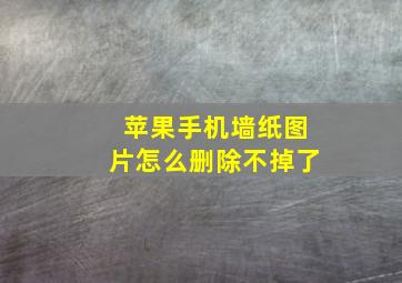 苹果手机墙纸图片怎么删除不掉了