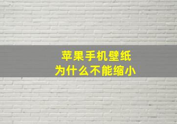 苹果手机壁纸为什么不能缩小