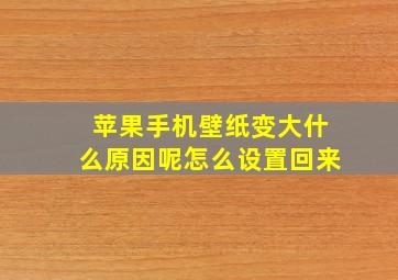 苹果手机壁纸变大什么原因呢怎么设置回来