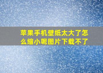 苹果手机壁纸太大了怎么缩小呢图片下载不了