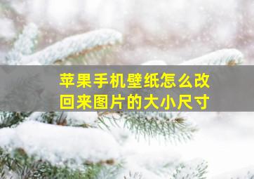 苹果手机壁纸怎么改回来图片的大小尺寸