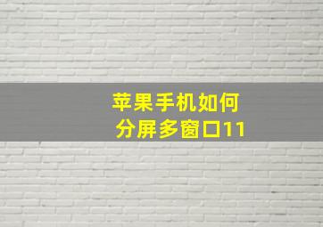 苹果手机如何分屏多窗口11