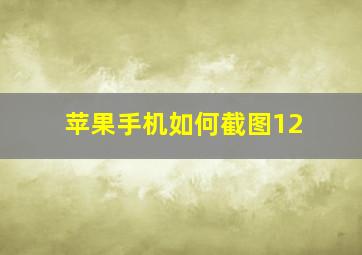 苹果手机如何截图12