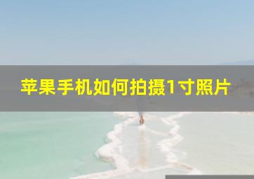 苹果手机如何拍摄1寸照片