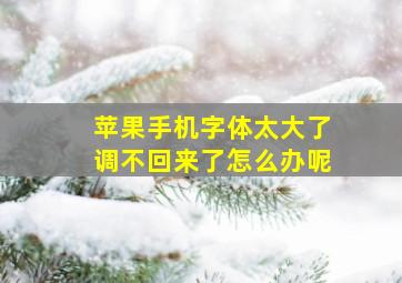 苹果手机字体太大了调不回来了怎么办呢