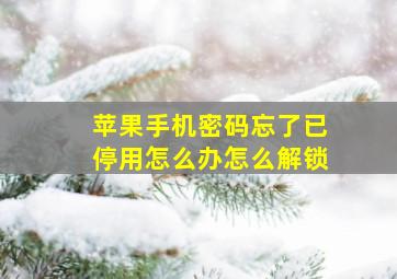 苹果手机密码忘了已停用怎么办怎么解锁