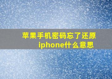 苹果手机密码忘了还原iphone什么意思