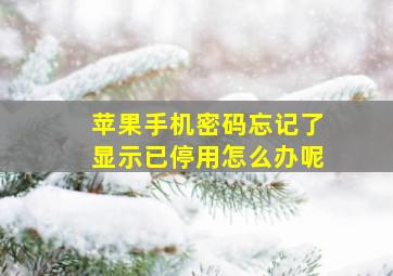 苹果手机密码忘记了显示已停用怎么办呢