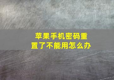 苹果手机密码重置了不能用怎么办