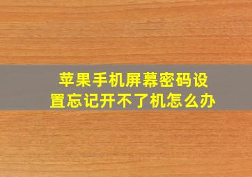 苹果手机屏幕密码设置忘记开不了机怎么办