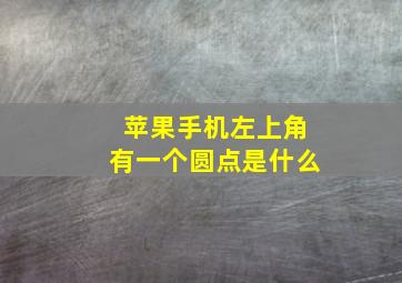 苹果手机左上角有一个圆点是什么