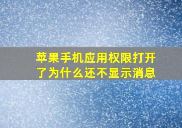 苹果手机应用权限打开了为什么还不显示消息