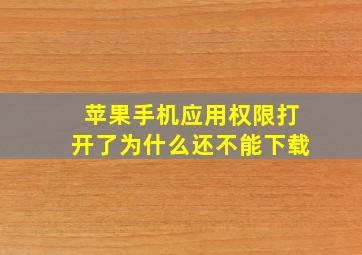 苹果手机应用权限打开了为什么还不能下载