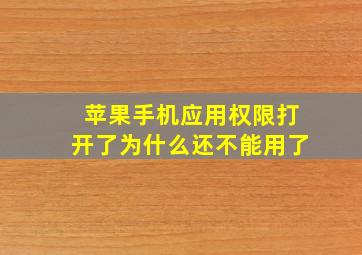 苹果手机应用权限打开了为什么还不能用了