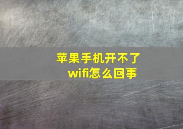 苹果手机开不了wifi怎么回事