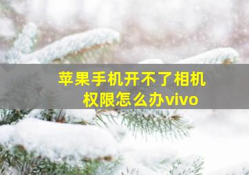 苹果手机开不了相机权限怎么办vivo