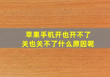 苹果手机开也开不了关也关不了什么原因呢