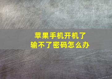 苹果手机开机了输不了密码怎么办