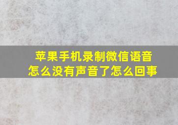 苹果手机录制微信语音怎么没有声音了怎么回事