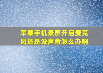 苹果手机录屏开启麦克风还是没声音怎么办啊