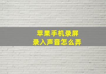 苹果手机录屏录入声音怎么弄